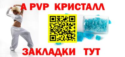 крисы Можга