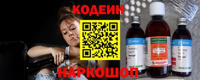 крисы Можга