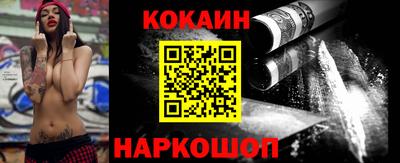 крисы Можга