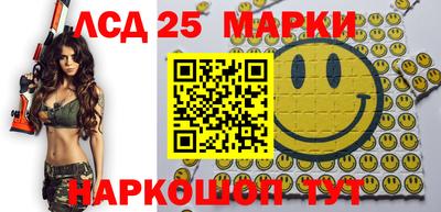 индика Можайск