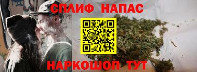 крисы Можга