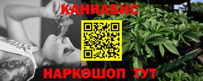 крисы Можга