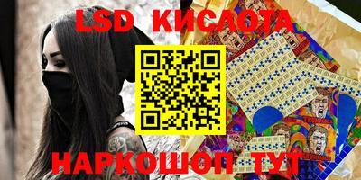крисы Можга
