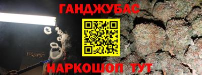 крисы Можга