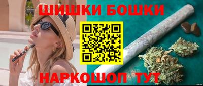индика Можайск