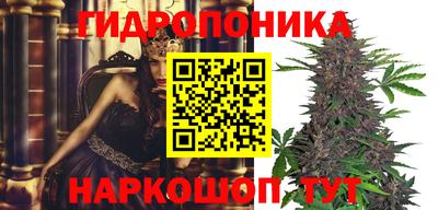 крисы Нальчик