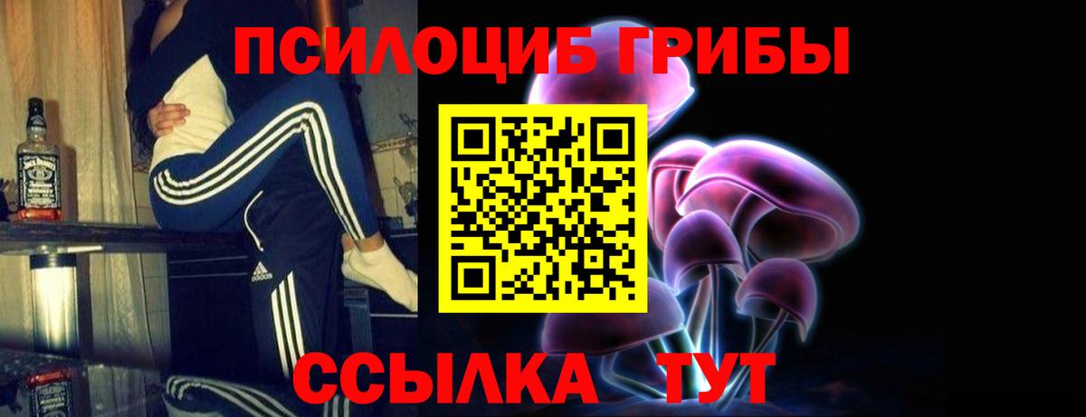 Псилоцибиновые грибы прущие грибы Красноперекопск