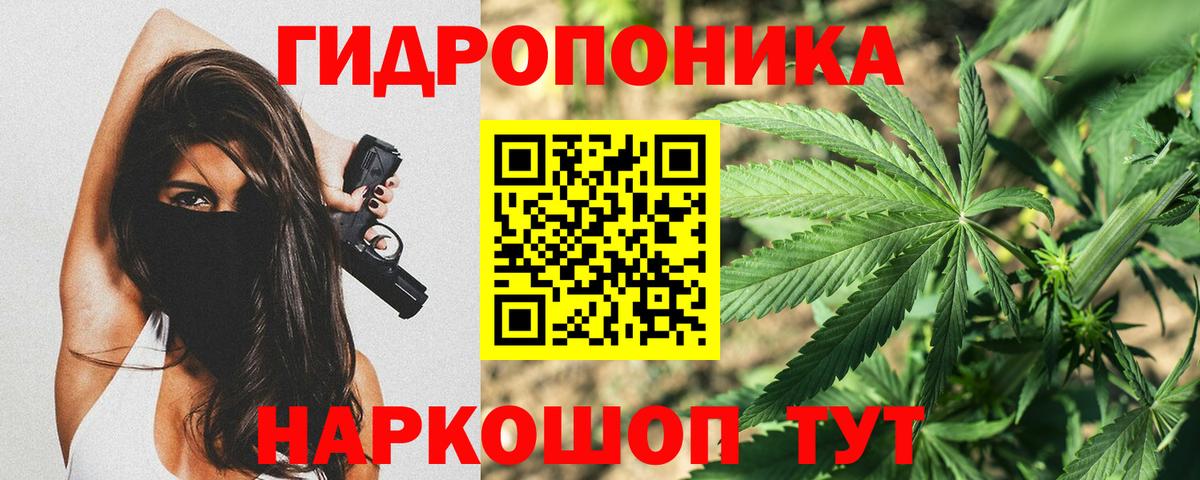 Бошки Шишки план  Конопля AK-47  Марихуана ГИДРОПОН  Красноперекопск  Шишки марихуана Amnesia  Вход с VPN 